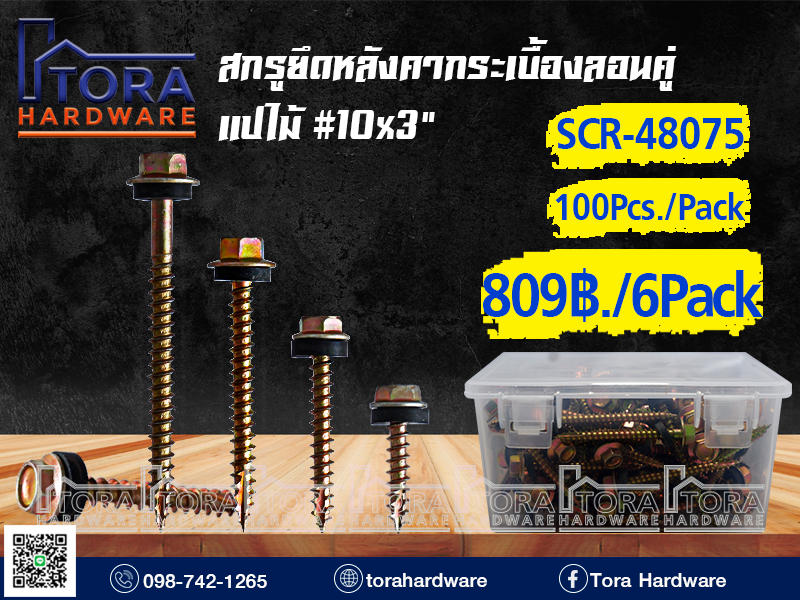 สกรูปลายแหลมยึดหลังคากระเบื้องลอนคู่10x3